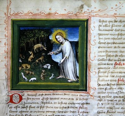 Schepping van de dieren, uit de Bijbel des Grands Augustins door French School