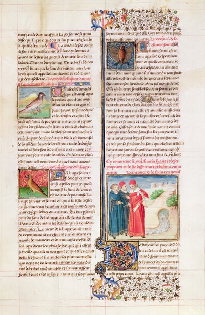 Ms 399 fol.149 De Eigenschappen van de Schildpad, de Hop en de Vleermuis, uit 