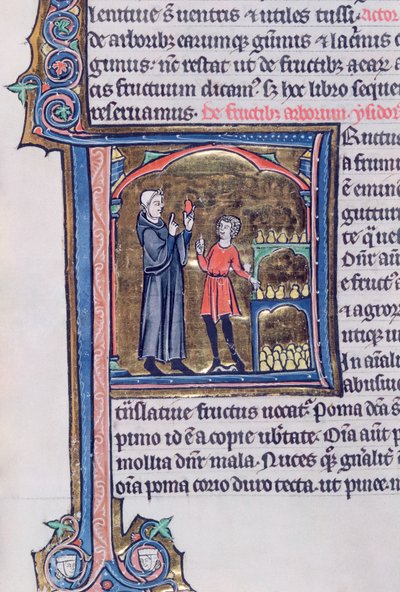 Ms 426 fol.135 Het beste manier om peren te bewaren, uit Le Miroir de la Nature door Vincent de Beauvais door French School