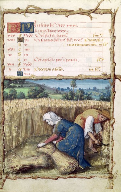Ms 438 De maand juli: Maaien en oogsten van tarwe, uit een getijdenboek, 1490 door French School