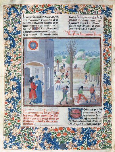 Bezigheden voor elke maand van het jaar, illustratie uit Le Livre des Prouffitz Champestres door French School