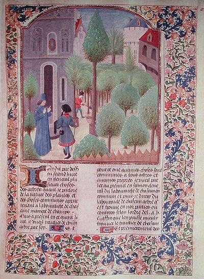 Ms 5064 fol.105r Bomen planten, uit Livre des Prouffitz Champestres door Pietro de Crescenzi (1230-132021) door French School
