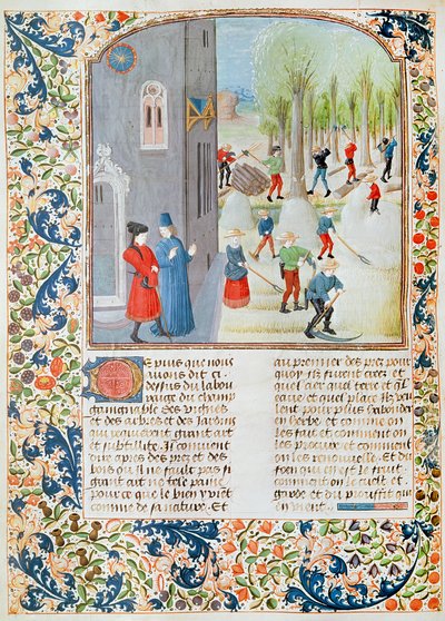 Ms 5064 fol.198v Bomen kappen en oogsten, uit Livre des Prouffitz Champestres door Pietro de Crescenzi (1230-1320) door French School