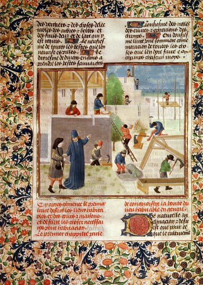 Bouw van een huis, uit Livre des Prouffitz Champestres door Pietro de Crescenzi door French School