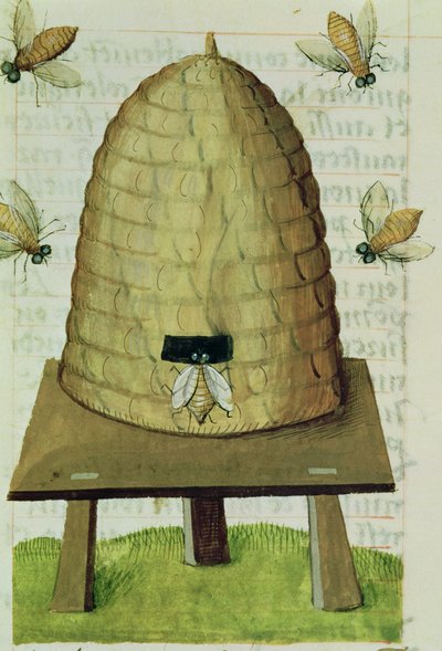 Bijenkorf en bijen, uit Grand Herbier door French School