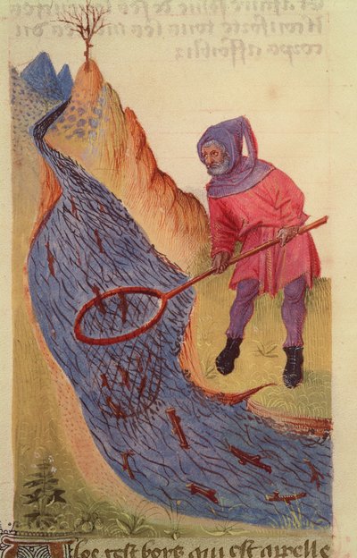 Ms 59 fol.3r Visser, uit Grand Herbier door French School