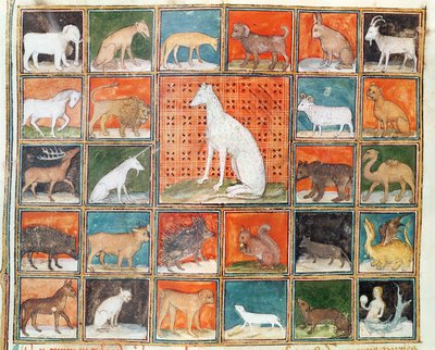 Ms 993 fol.254v De eigenschappen van dieren: De zoogdieren, uit Le Livre des Proprietes des Choses door Jean Cordichon door French School