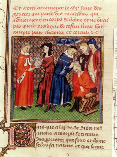 Het urineonderzoek en de genezing van wonden, uit Le Livre des Proprietes des Choses door Barthelemy l
