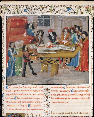 Ms H 184 fol.14v Dissectieles aan de Faculteit der Geneeskunde in Montpellier, uit 