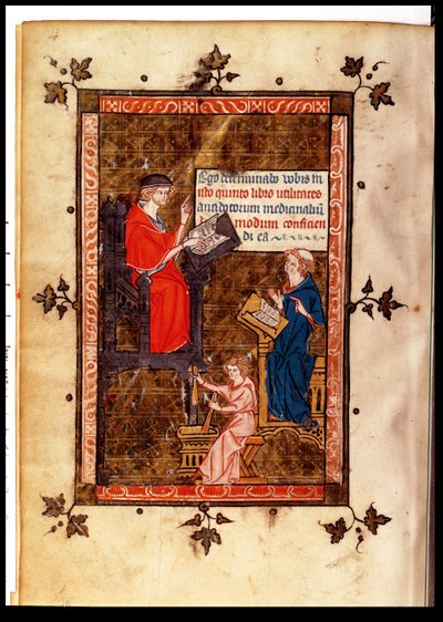 Ms. Lat. 14023 fol. 769 v. Antidoteles uit Canon van de Geneeskunde door Avicenna (Ibn Sina) (980-1037), vertaald door Gerard de Cremone (1114-87) ca. 1320 door French School