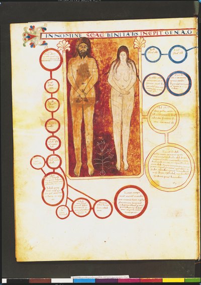 Ms Lat 8878 fol.5v Adam en Eva en de genealogie van Christus, uit een Commentaar op de Apocalyps door de Asturische monnik Beatus van Liebana (ca.776) ca.1028-72 door French School