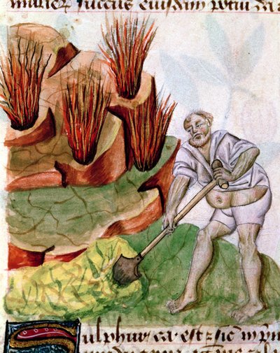 Ms Lat 993 L.9.28 f.123v Op zoek naar Zwavel, uit Dioscorides De Herbis door French School