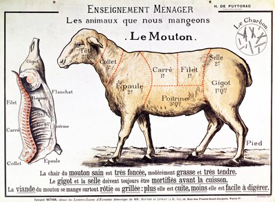 Schaap: diagram met de verschillende stukken vlees door French School