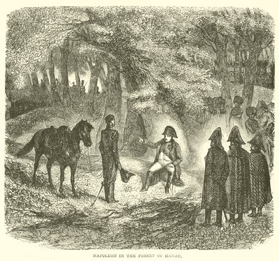 Napoleon in het bos van Hanau (gravure) door French School
