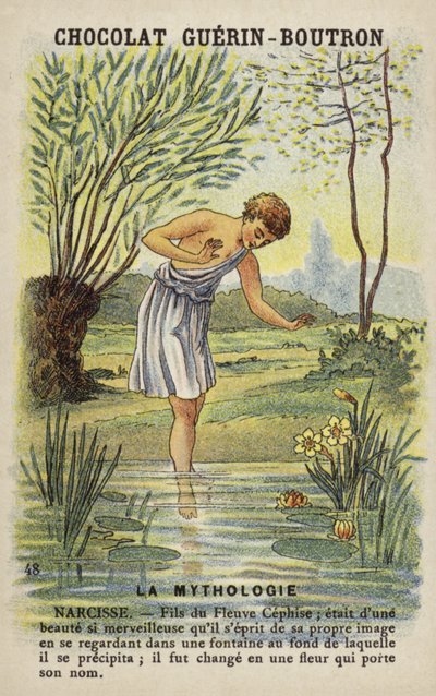 Narcissus door French School