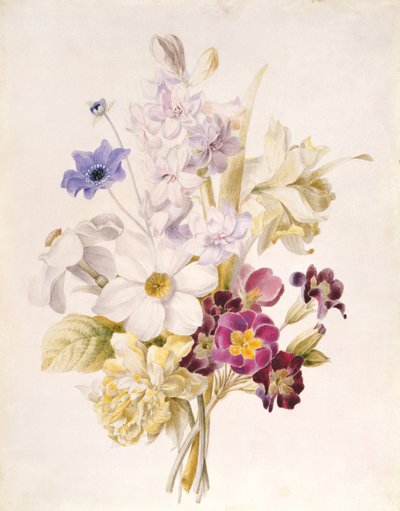 Narcissus en andere bloemen, 1840 door French School