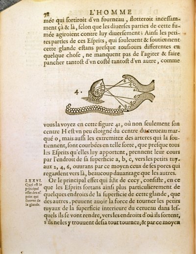 Optisch diagram, uit De Homine Figuris door René Descartes (1596-1650) gepubliceerd in Den Haag, 1662 door French School