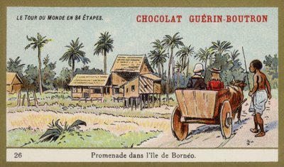 Rit met een ossenkar op het eiland Borneo door French School