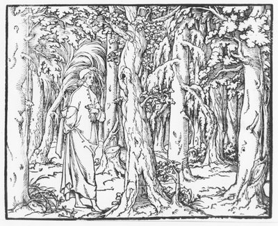 Pagina uit "Discours du Songe de Poliphile", door Francesco Colonna, 1546 door French School