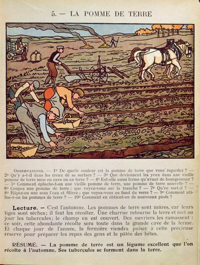 Pagina uit een schoolboek die de teelt van de aardappel illustreert door French School