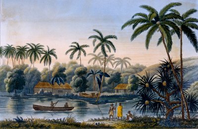 Deel van het dorp Matavae, kokospalmen en ander fruit, Tahiti, uit Voyage autour du Monde sur la Corvette Coquille door Luitenant Louis Isodore Duperrey, gepubliceerd 1826 door French School