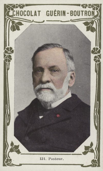 Pasteur door French School