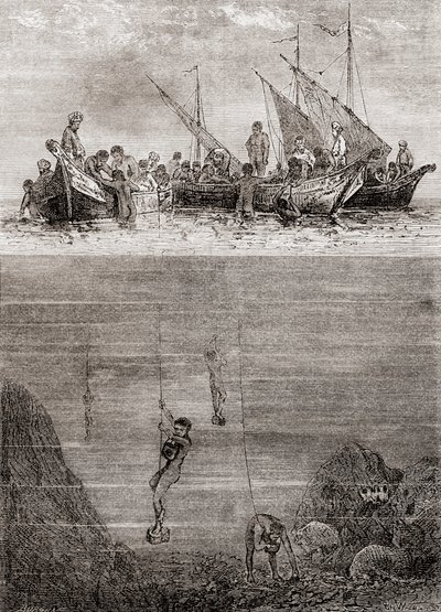 Parelduikers voor de kust van het eiland Ceylon in de 18e eeuw, uit 