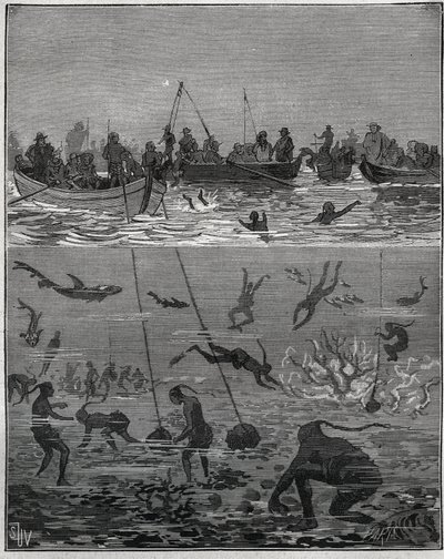 Parelvissers in Ceylon (het huidige Sri Lanka) in de 19e eeuw. Gravure uit 1885 in Les arts et métiers illustrés door Adolphe Bitard. door French School