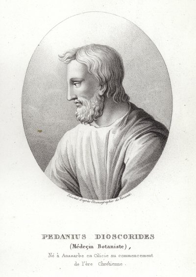 Pedanius Dioscorides door French School