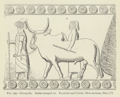 Persepolis, Indiase bultos door French School