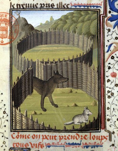 Wolfval - in 