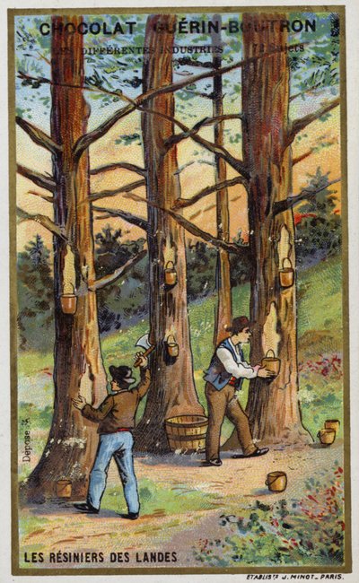 Harsverzamelaars in de Landes, Frankrijk door French School