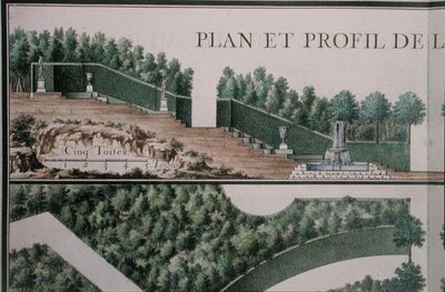 Plan en dwarsdoorsnede van het bos, uit 