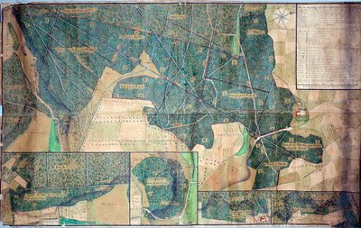 Plan en overzicht van de bossen behorend tot de nonnen van Port Royal des Champs 1723 door French School