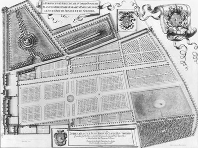 Plan van de Koninklijke Tuin van Medicinale Planten in Parijs, 1641 door French School