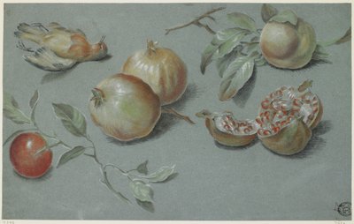 Granaatappels en dode vogel (begin 19e eeuw) door French School