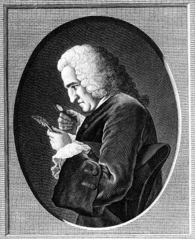 Portret van Bernard de Jussieu (1699-1777) door French School