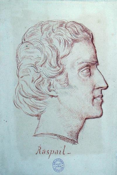 Portret van Francois Vincent Raspail (1794-1878) door French School