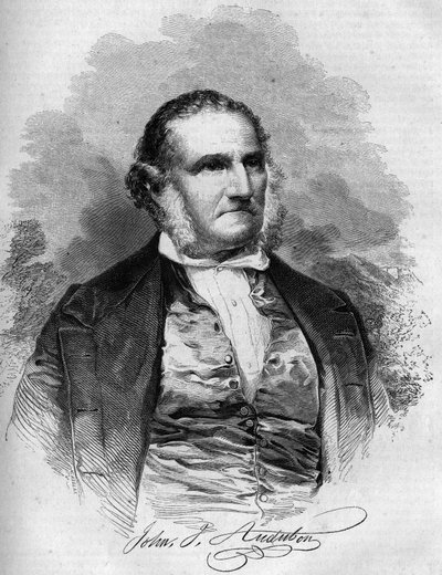 Portret van John James Audubon (1780-1851), Amerikaanse ornitholoog. Gravure in 