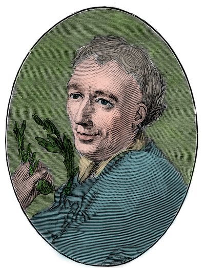 Portret van Laurence Eusden, Engelse dichter. door French School