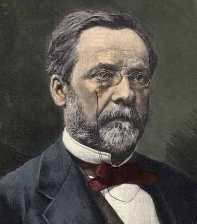Portret van Louis Pasteur (1822-1895), Engelse chemicus en microbioloog door French School