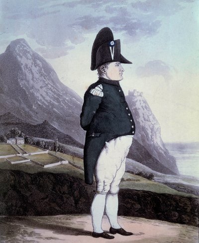 Portret van Napoleon I (1769-1821) op het eiland Sint-Helena in mei 1815 Gravure uit de 19e eeuw door French School