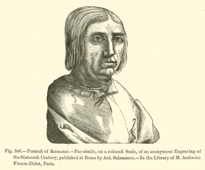 Portret van Sannazar (gravure) door French School