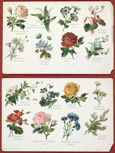 Ansichtkaarten die de taal en betekenis van bloemen weergeven, ca. 1905 door French School