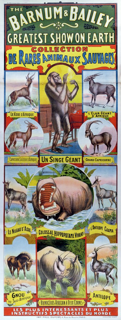Poster die de Collection de Rares Animaux Sauvages voor het Barnum en Bailey circus adverteert door French School