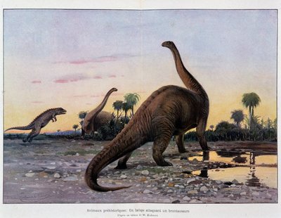 Prehistorische dieren: een laelaps die een brontausore aanvalt - in 