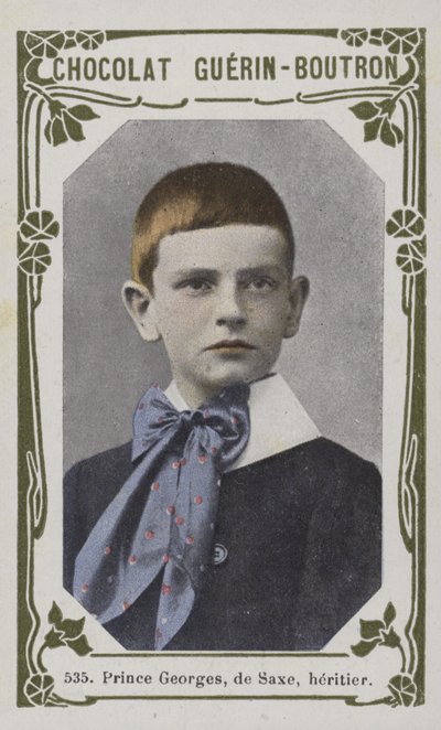 Prins George van Saksen, Erfgenaam door French School