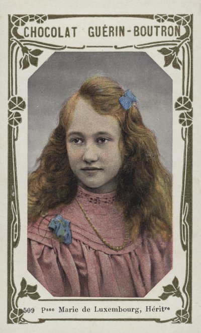 Prinses Marie van Luxemburg, Erfgename door French School