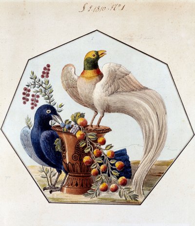 Project voor de tafel van vogels in porselein door Alexandre Brongniart (1770-1847). 1810 Sèvres, archieven van de Manufacture de Sèvres door French School