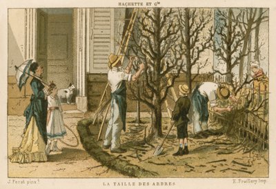 Bomen snoeien door French School